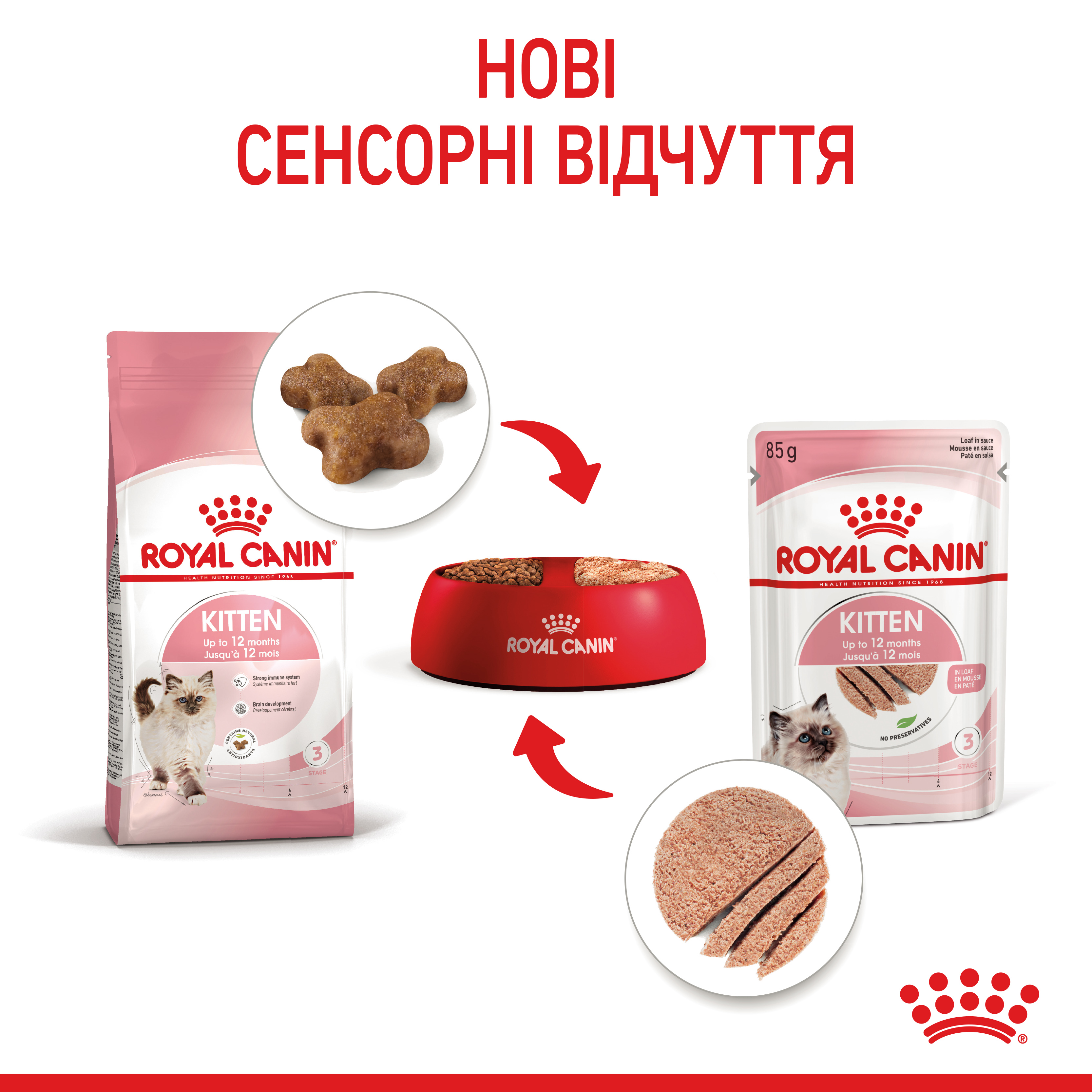 Вологий корм Royal Canin Kitten Loaf для кошенят