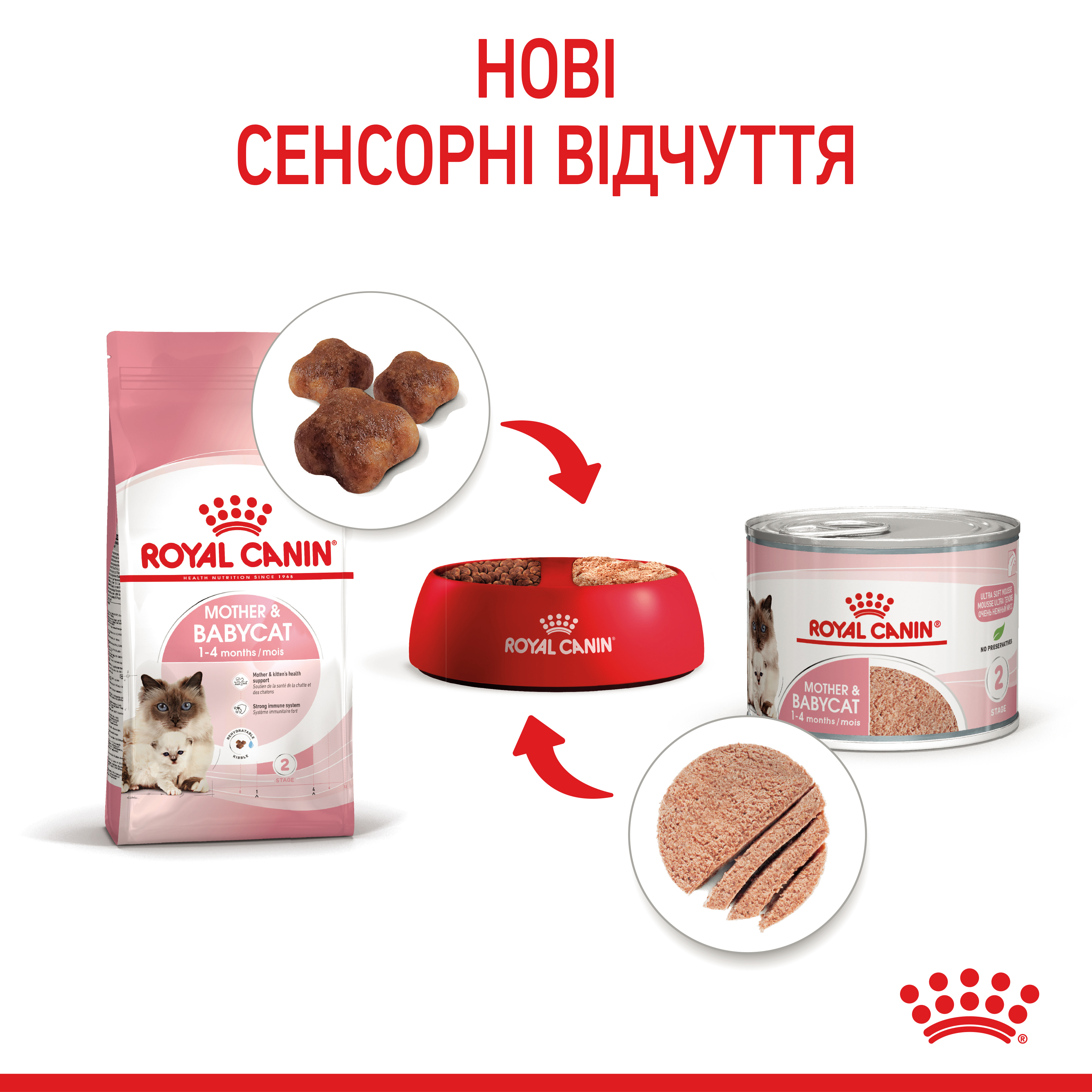 Вологий корм Royal Canin Mother and Babycat для кошенят та годуючої або вагітної кішки