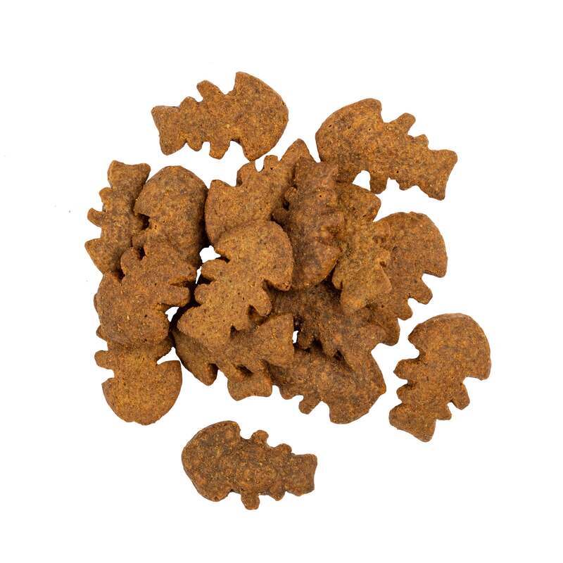 Ласощі для собак Savory Dog Skin And Coat Crunchy Snack з лососем і чорнобривцями,200г