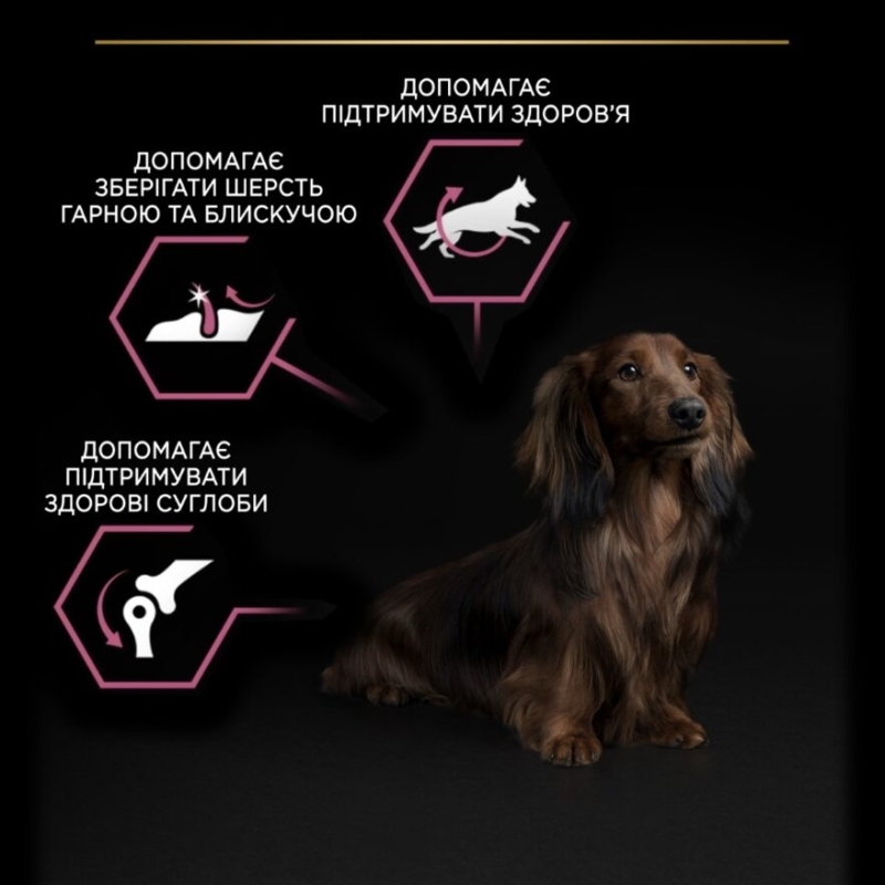 Сухий корм Purina Pro Plan Adult Small and Mini Sensitive Skin для собак дрібних порід з лососем 7 кг