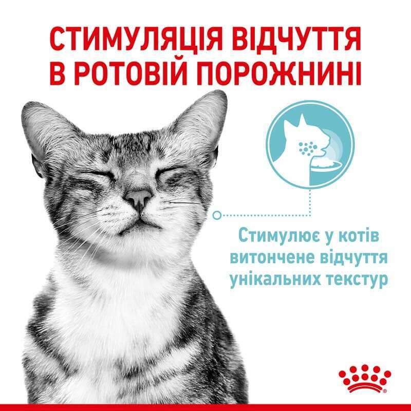 Вологий корм Royal Canin Sensory Feel in Jelly для котів в желе-сенсорна формула з апетитною текстурою для вибагливих улюбленців 85 г