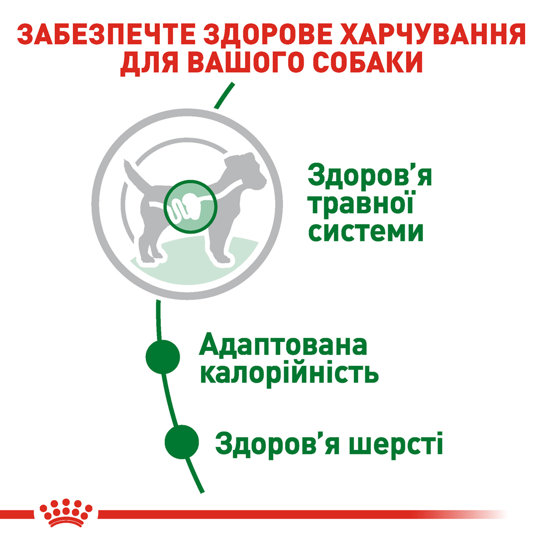 Вологий корм Royal Canin Mini Adult для собак дрібних порід