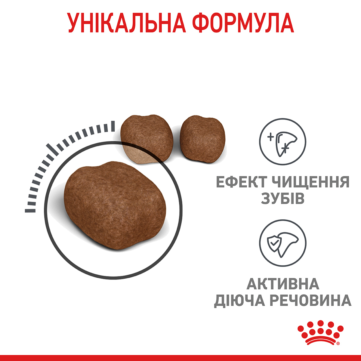 Сухий корм Royal Canin Dental Care для котів догляд за зубами 1,5кг