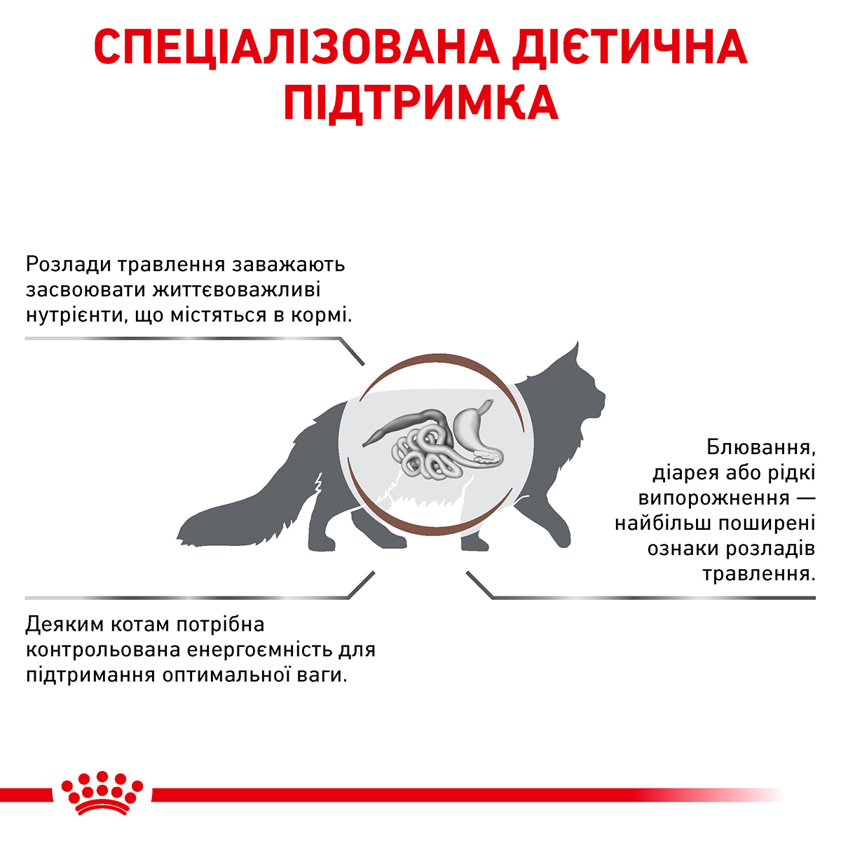 Сухий корм Royal Canin Gastrointestinal Moderate Calorie Feline для котів при порушеннях травлення 400г
