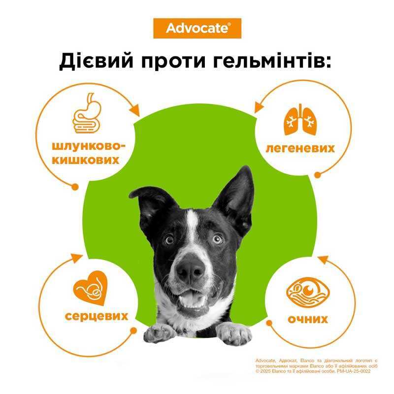 Elanco Advocate -протипаразитарні краплі Адвокат на холку від зовнішніх і внутрішніх паразитів для собак вагою до 4 кг, 1 піпетка