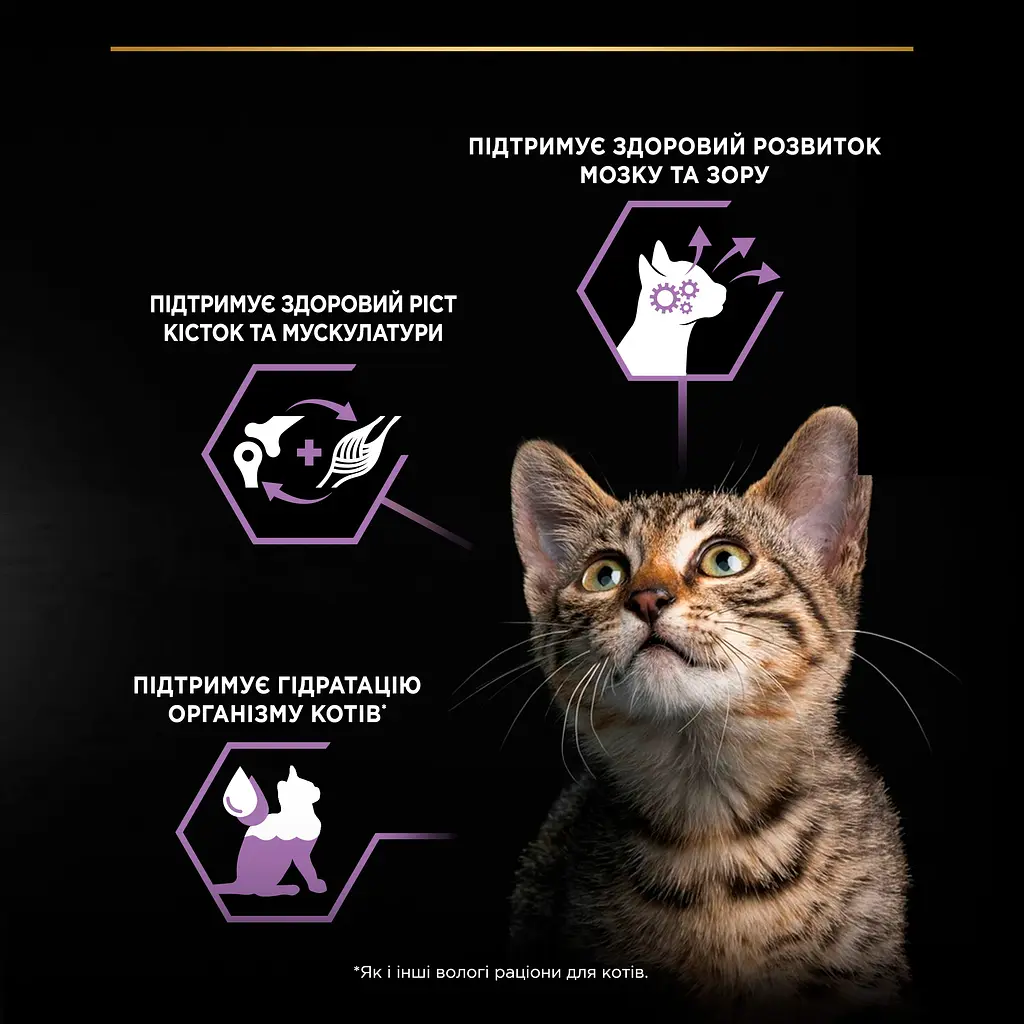 Вологий корм Purina Pro Plan Kitten Healthy Start для кошенят з індичкою 85 г