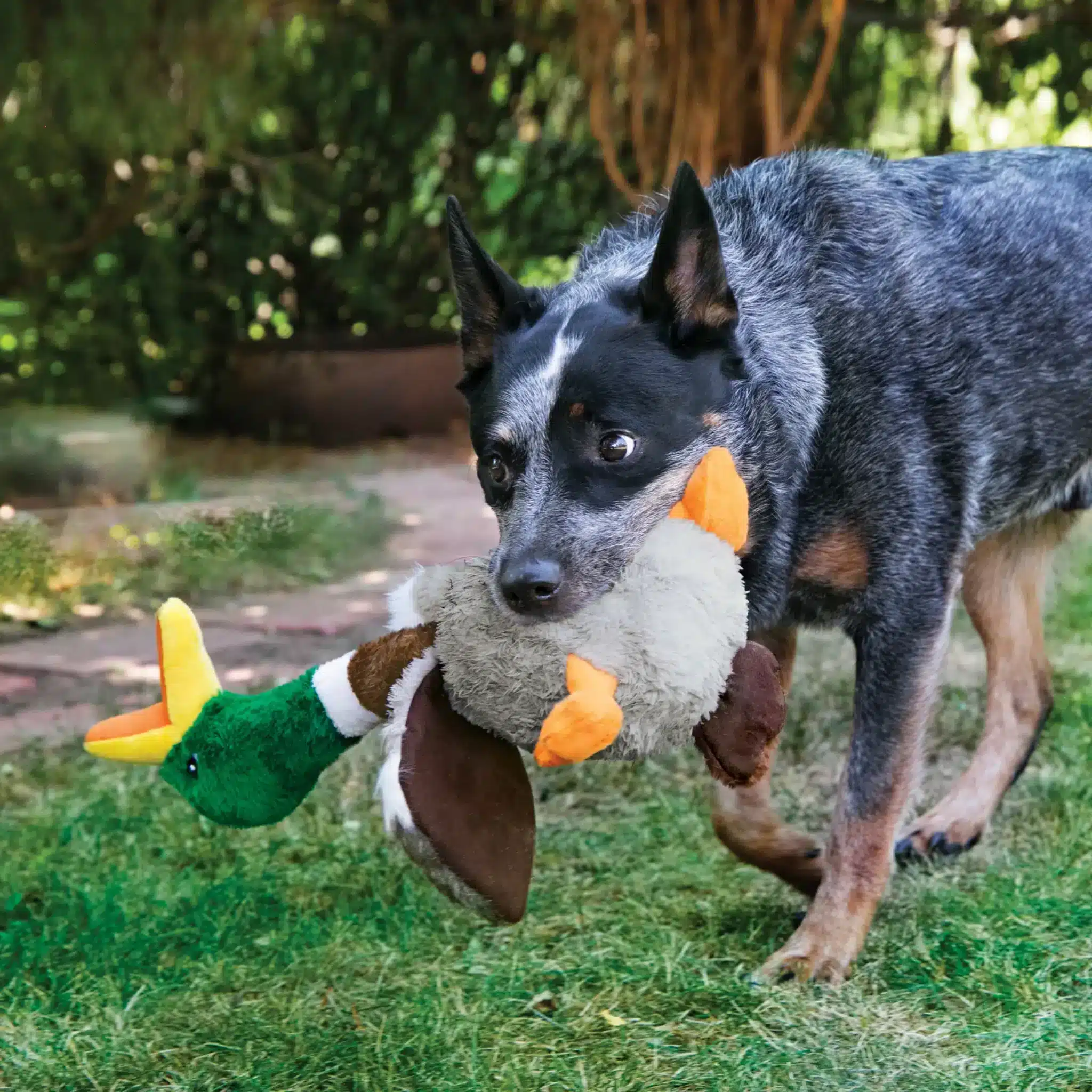 Kong Dog Shakers Honkers Duck Іграшка для собак Качка з пискавкою L