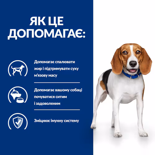 Сухий корм Hill's PD Canine R/D для собак при зайвій вазі 10кг