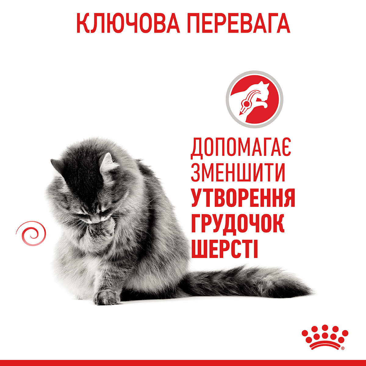 Вологий корм Royal Canin Hairball Care Cat для котів виведення шерсті