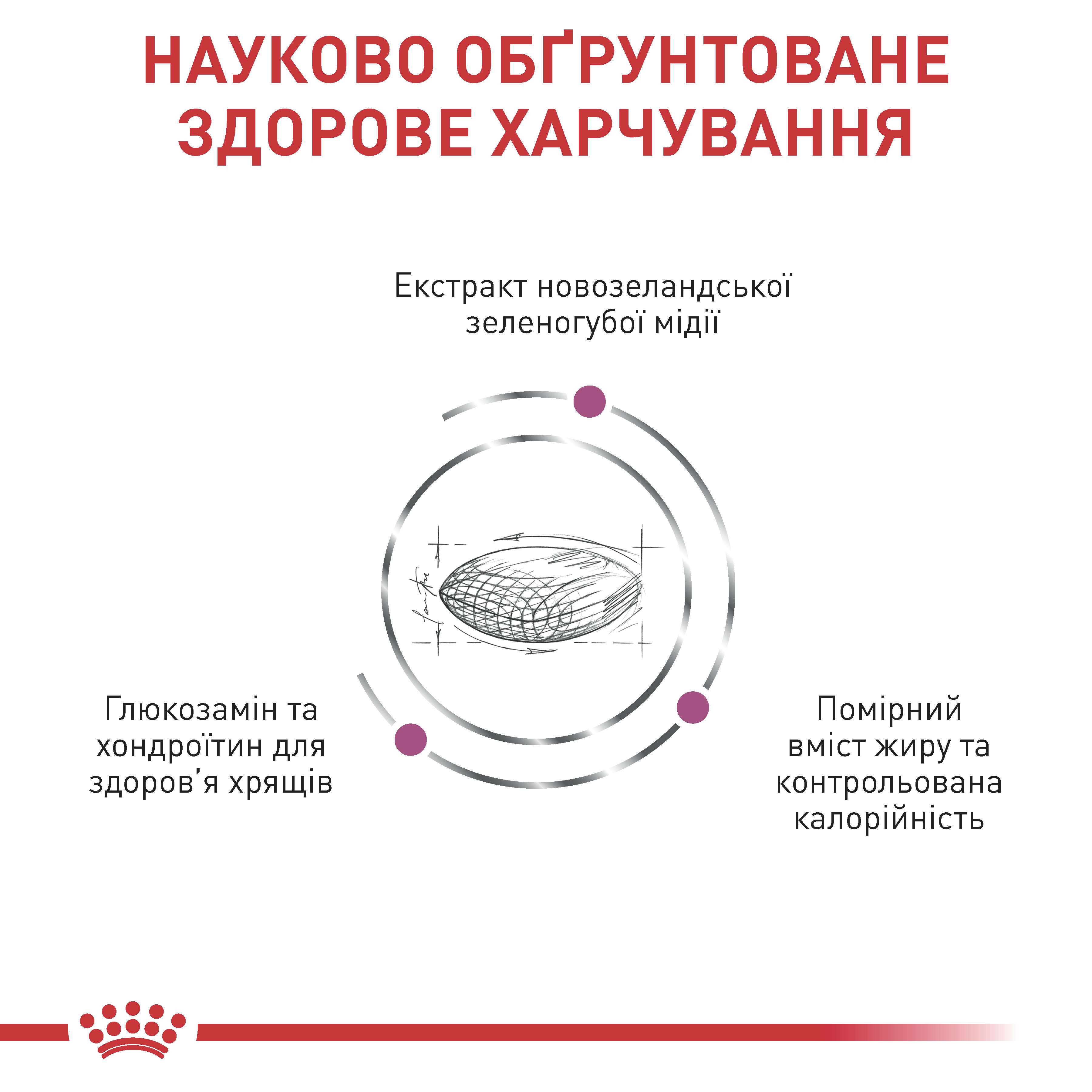 Сухий корм Royal Canin Mobility Support для собак при захворюваннях опорно-рухового апарату 2кг