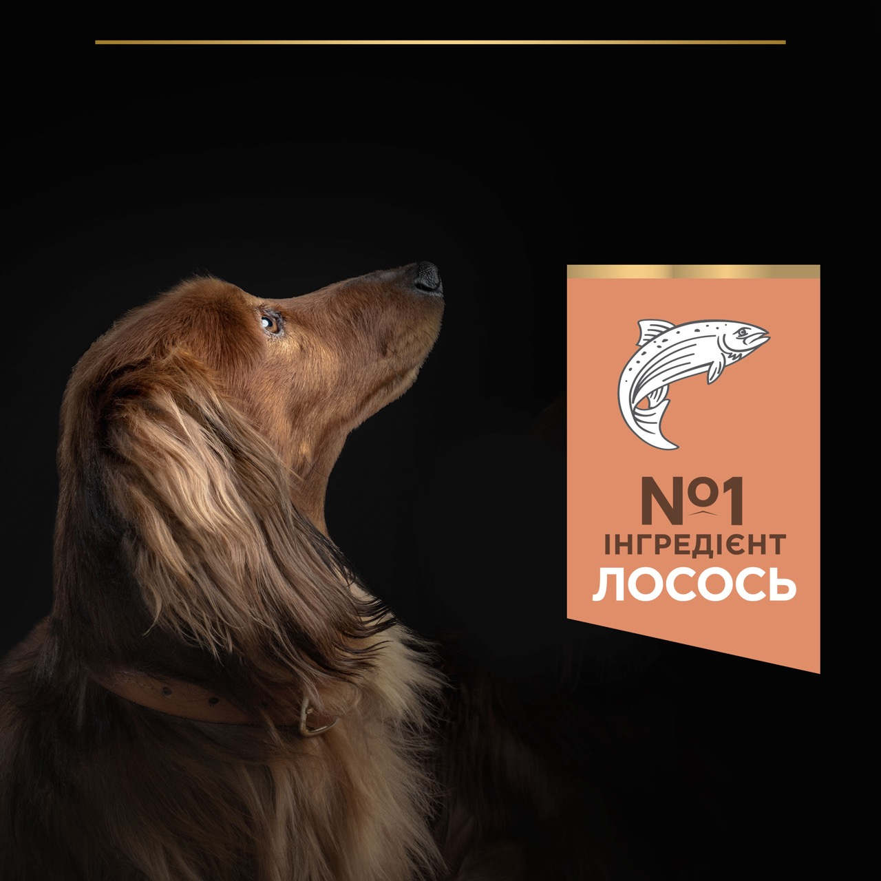 Сухий корм Purina Pro Plan Adult Small and Mini Sensitive Skin для собак дрібних порід з лососем 3 кг