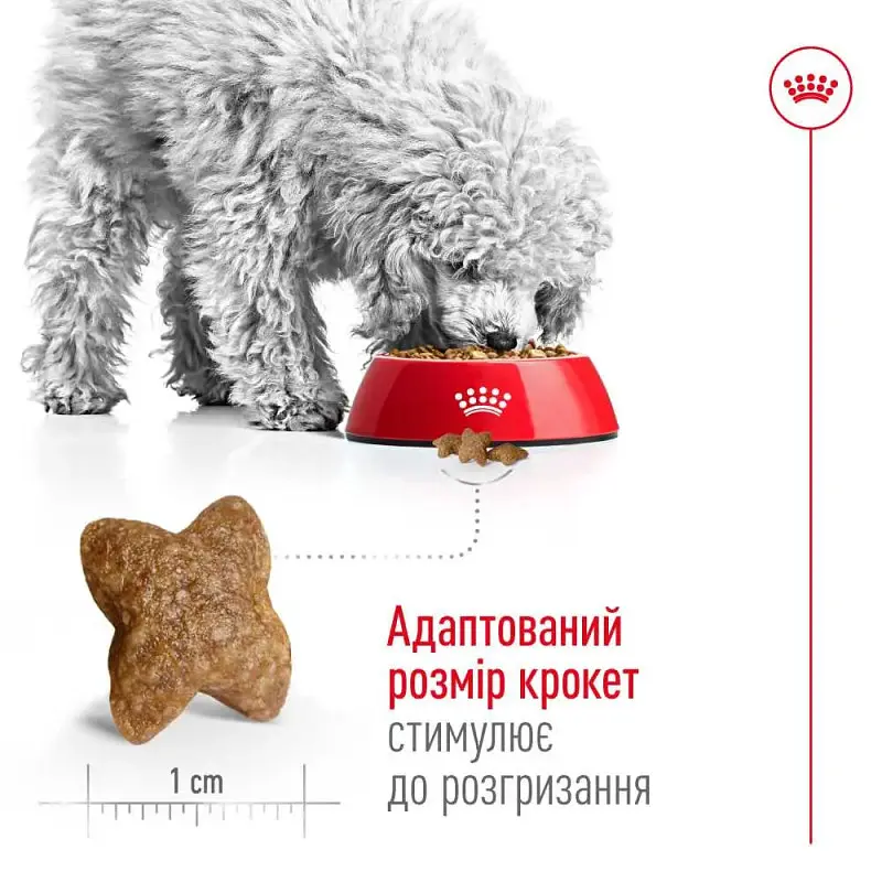 Акція Сухий корм Royal Canin Mini Adult для собак міні порід 1,6 кг+400 г