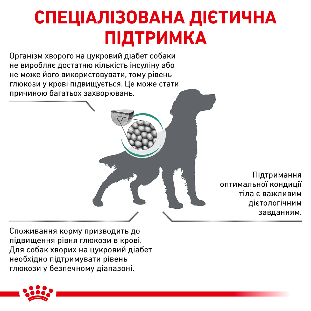 Сухий корм Royal Canin Canine Diabetic для собак при цукровому діабеті 1,5кг