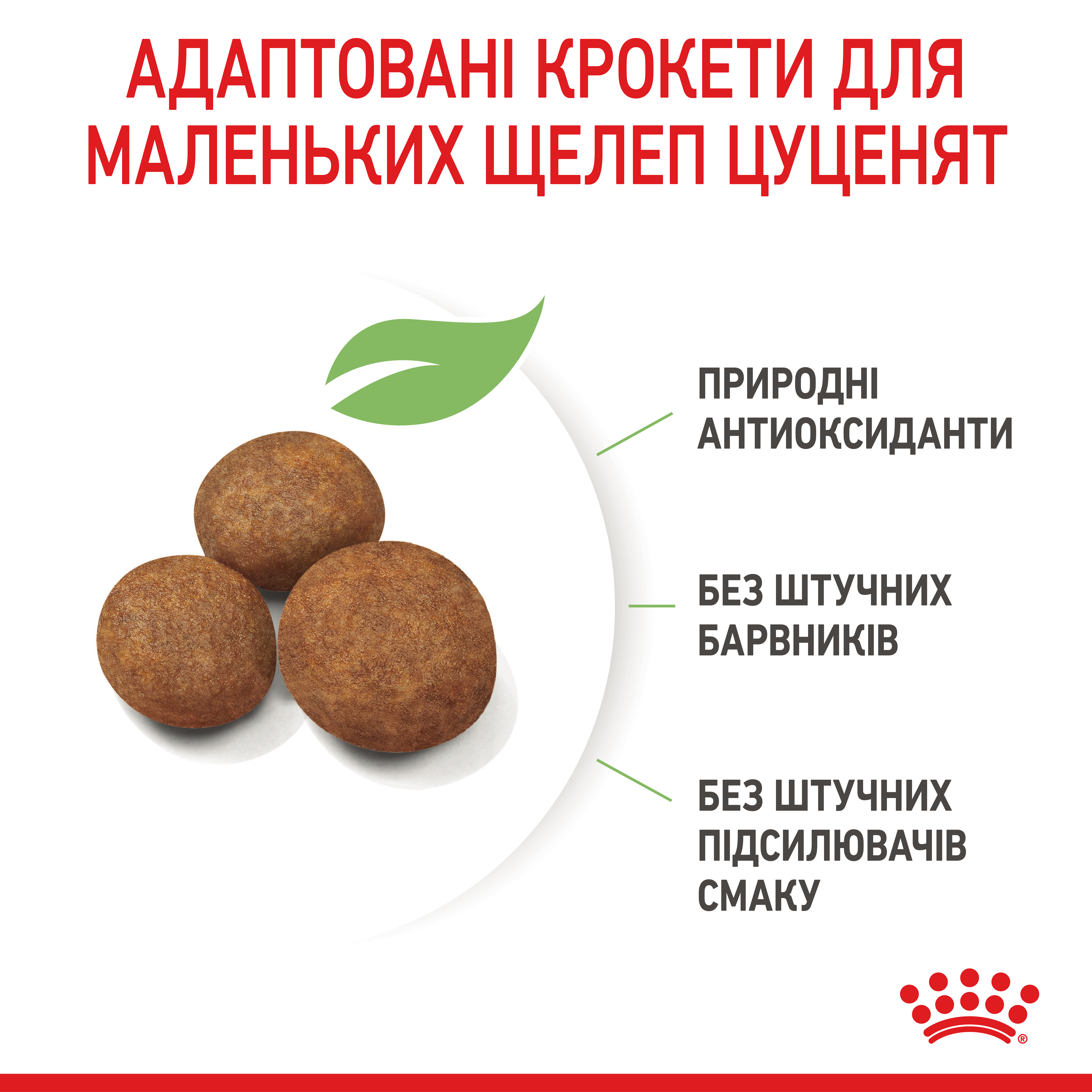 Сухий корм Royal Canin Maxi Puppy для цуценят великих порід 15кг