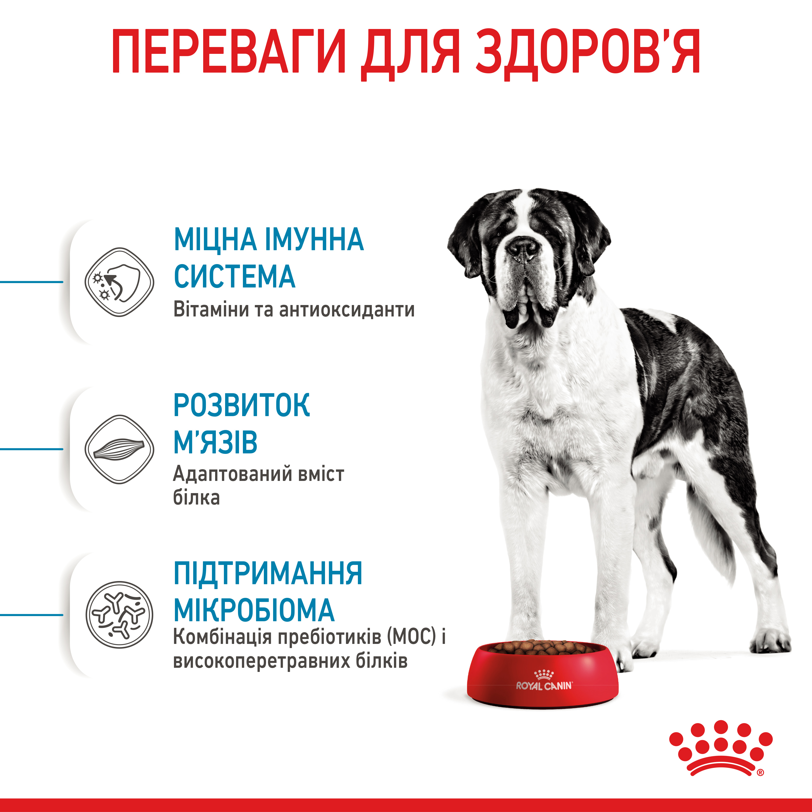 Сухий корм Royal Canin Giant Junior для цуценят гігантських порід 15кг