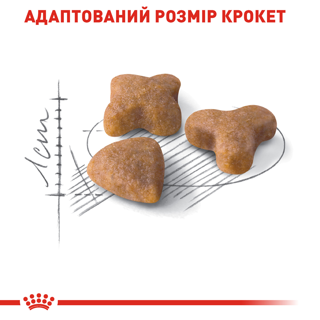 Сухий корм Royal Canin Sensible 33 для котів з чутливою травною системою 2 кг