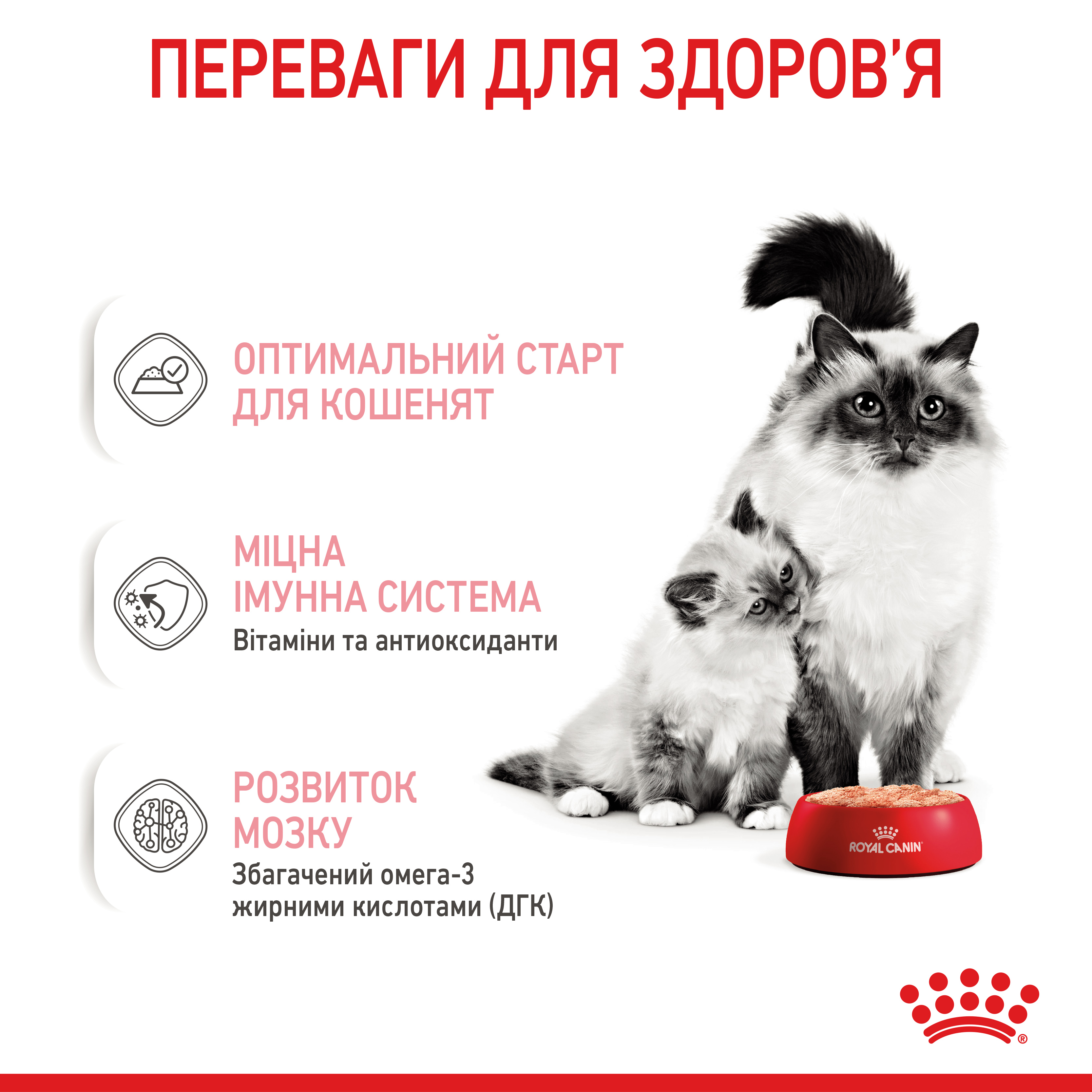 Вологий корм Royal Canin Mother and Babycat для кошенят та годуючої або вагітної кішки