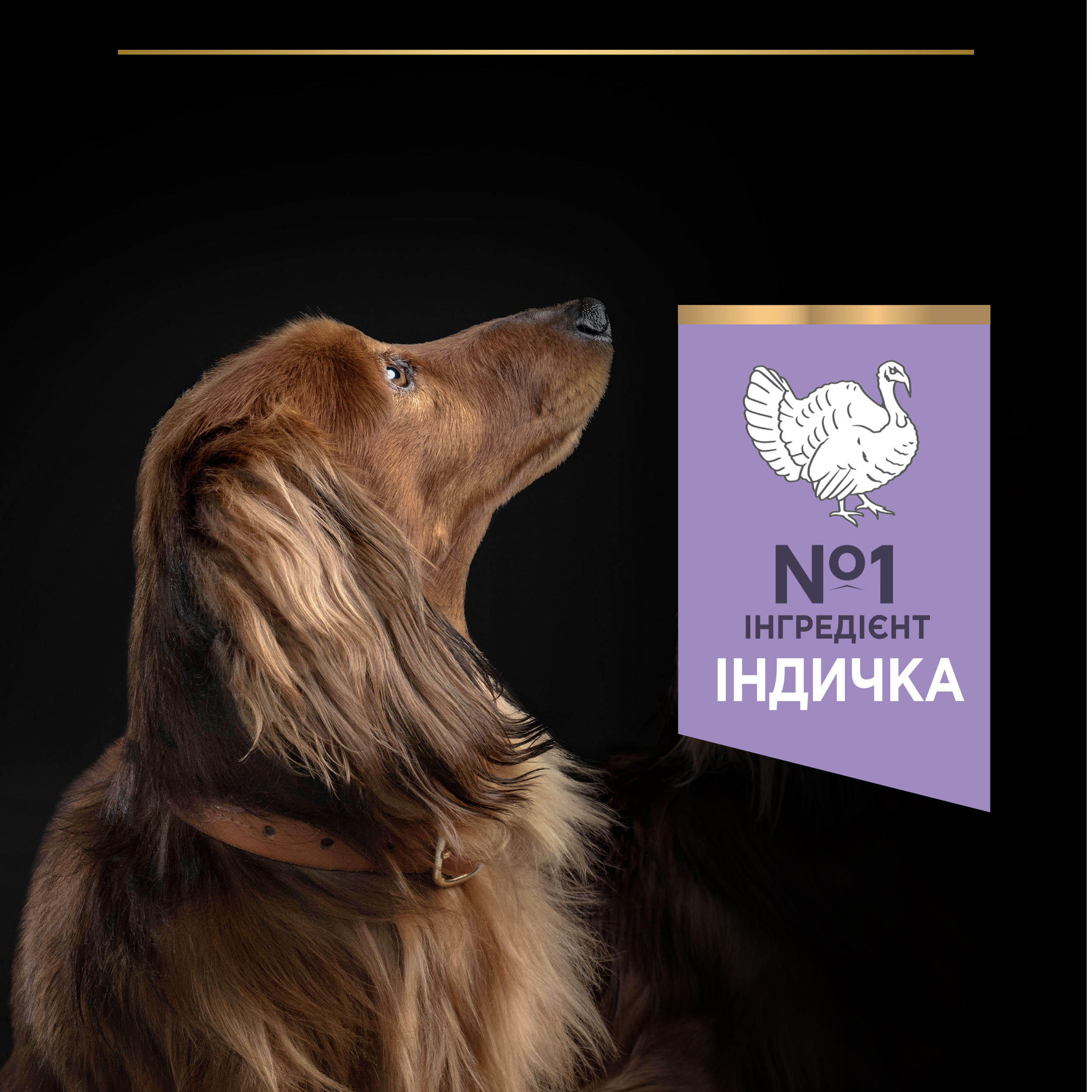 Сухий корм Purina Pro Plan Dog Adult Grain Free Small & Mini Sensitive Digestion Turkey для собак малих порід з чутливим травленням, з індичкою 7 кг