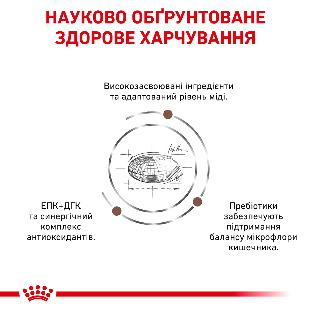 Сухий корм Royal Canin Hepatic Cat HF26 для котів при захворюваннях печінки 2кг