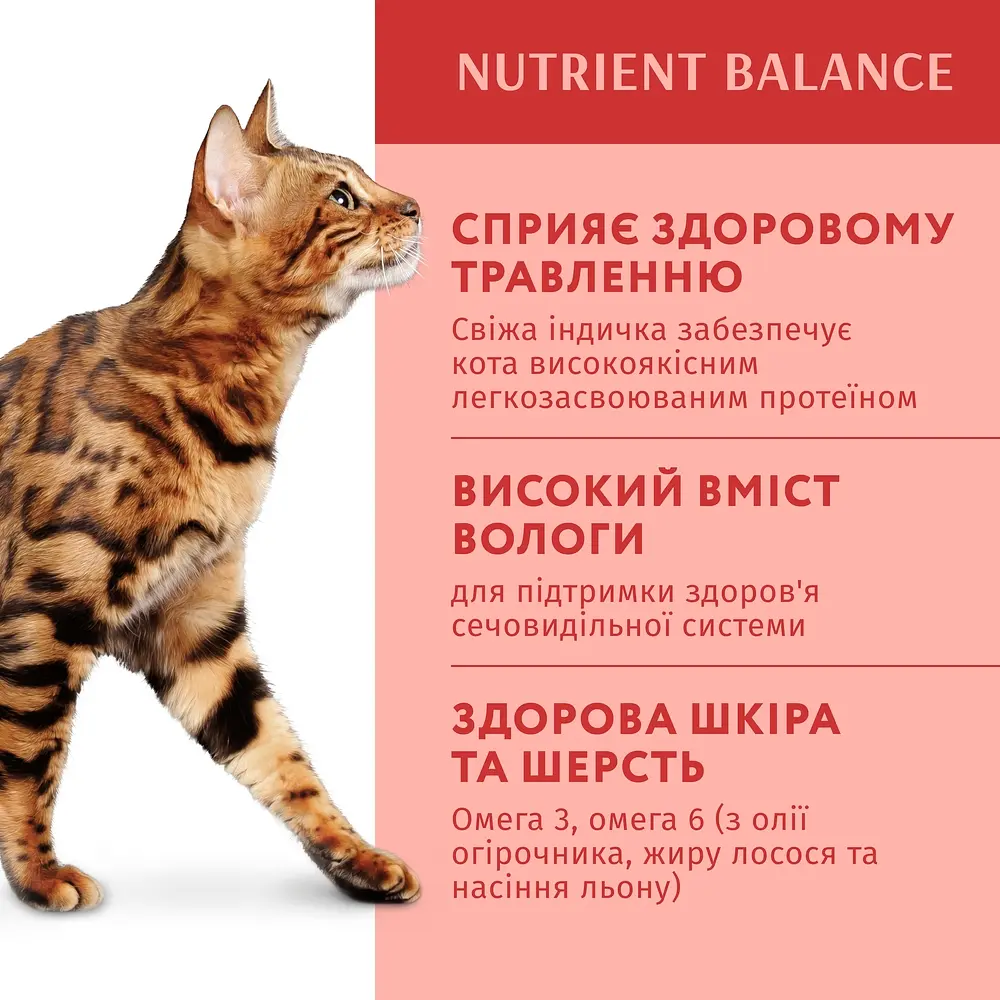 Вологий корм OptiMeal Adult Cats для дорослих котів з індичкою в гарбузовому соусі 85 г