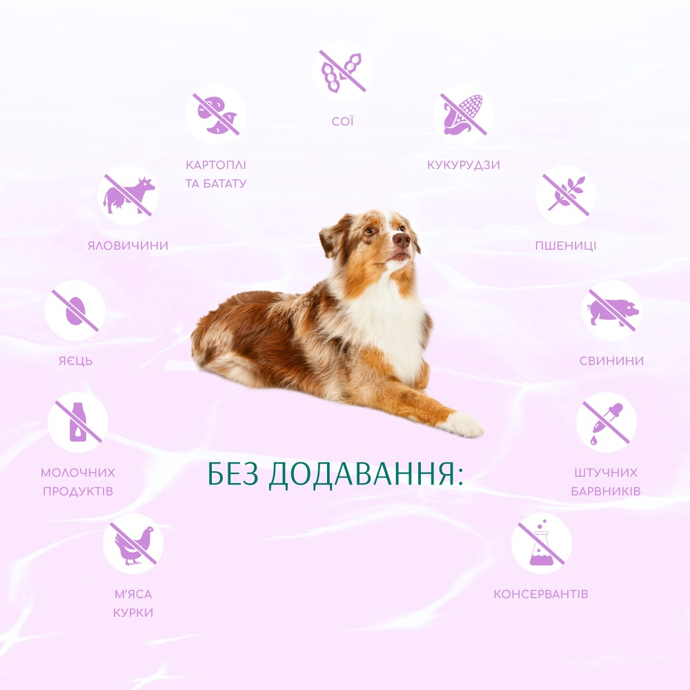 Сухий корм OptiMeal Dog Beauty Harmony для собак 4кг