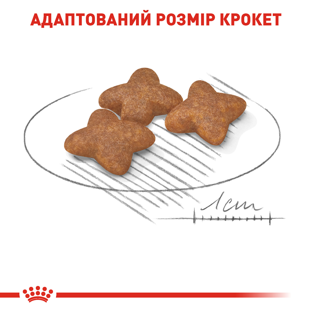 Сухий корм Royal Canin Mini Adult для собак міні порід 800г