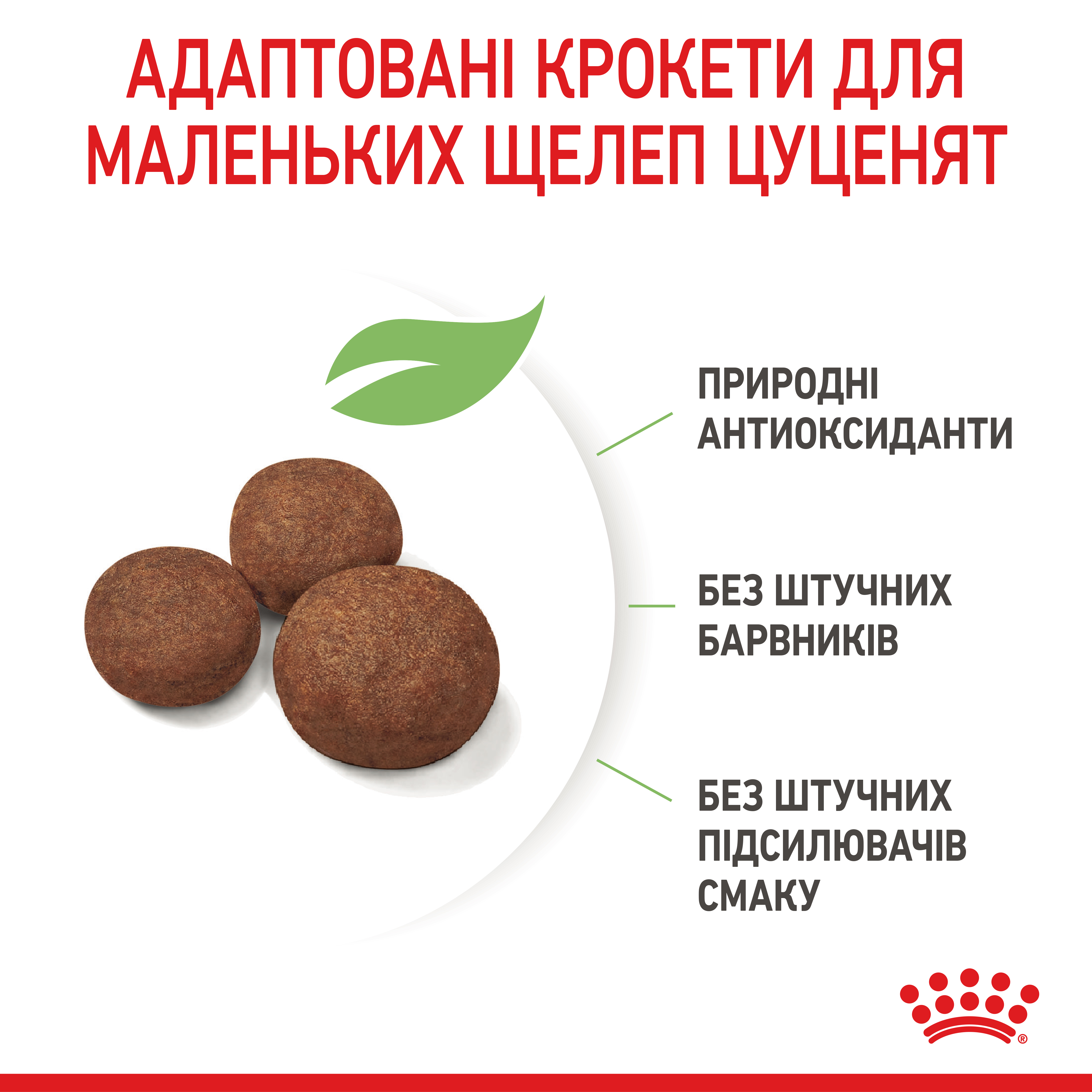 Сухий корм Royal Canin Medium Puppy для цуценят середніх порід 4кг