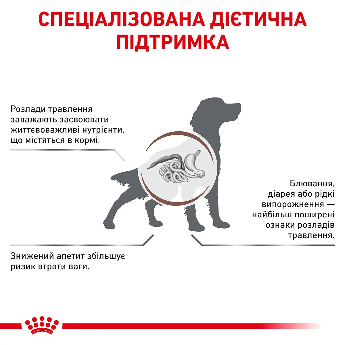 Сухий корм Royal Canin Gastro Intestinal Dog для собак при порушеннях травлення 7,5 кг