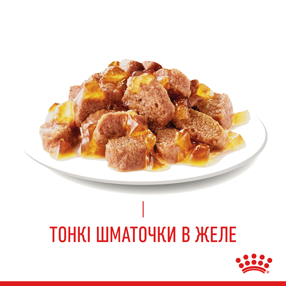 Вологий корм Royal Canin Hair & Skin Care in Jelly для котів