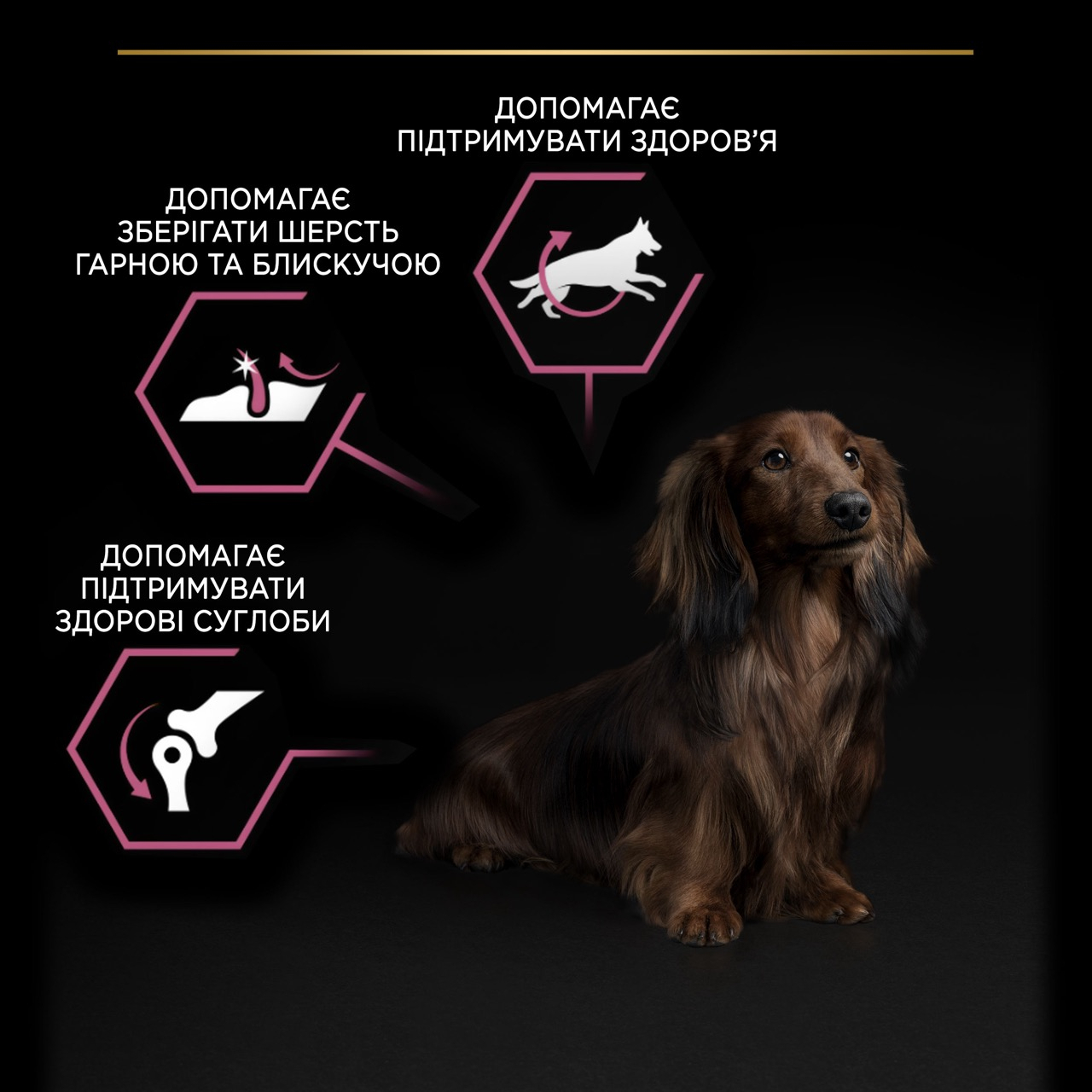 Сухий корм Purina Pro Plan Adult Small and Mini Sensitive Skin для собак дрібних порід з лососем 3 кг
