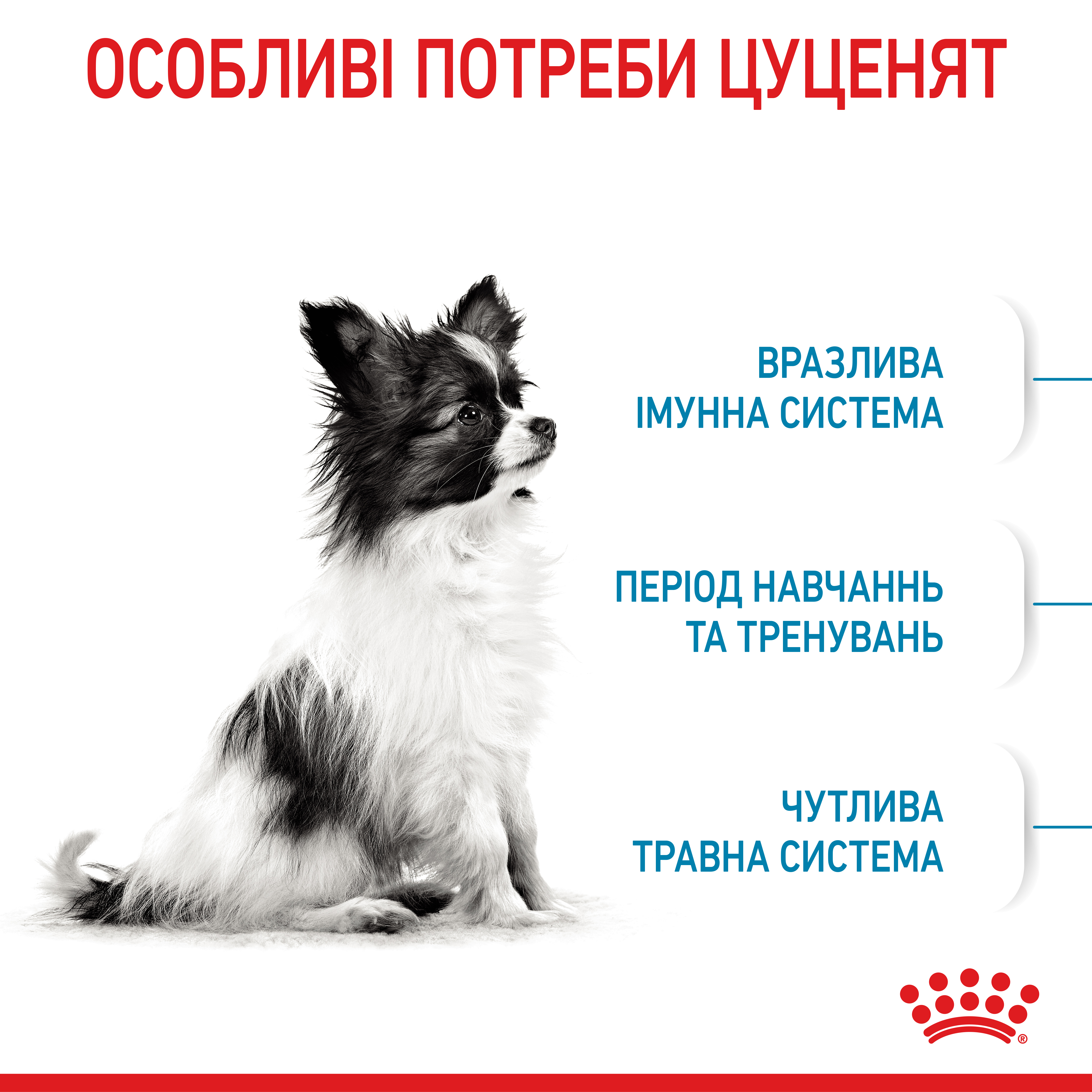 Акція Сухий корм Royal Canin X-Small Puppy для цуценят мініатюрних порід 1.2 кг+300 г