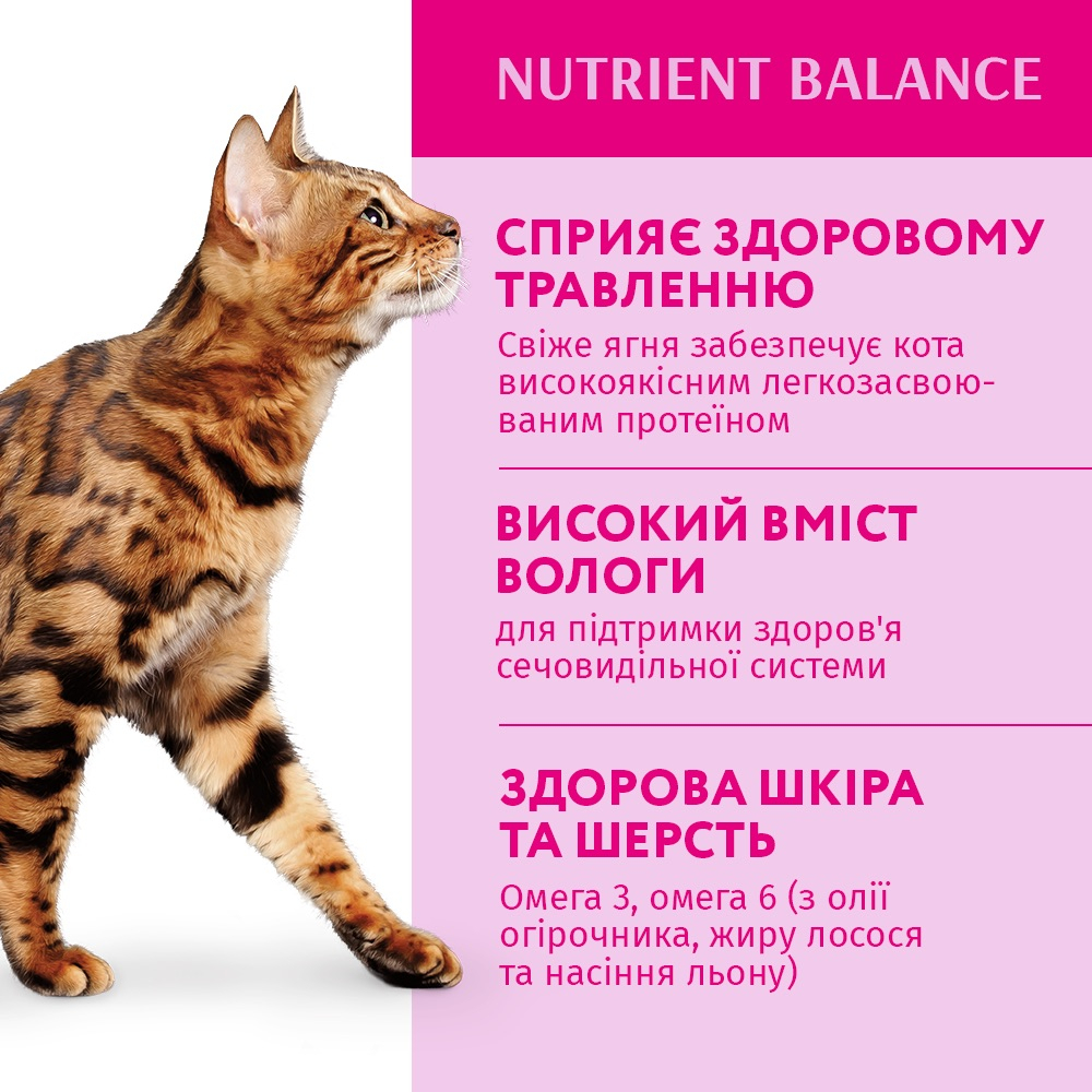 Вологий корм OptiMeal Adult Cats для котів з ягням та овочами з желе 85г