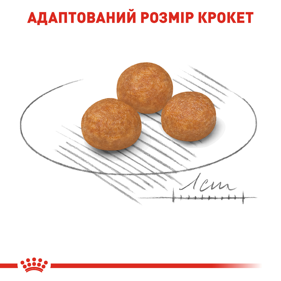Сухий корм Royal Canin X-Small Adult для собак мініатюрних порід 3кг