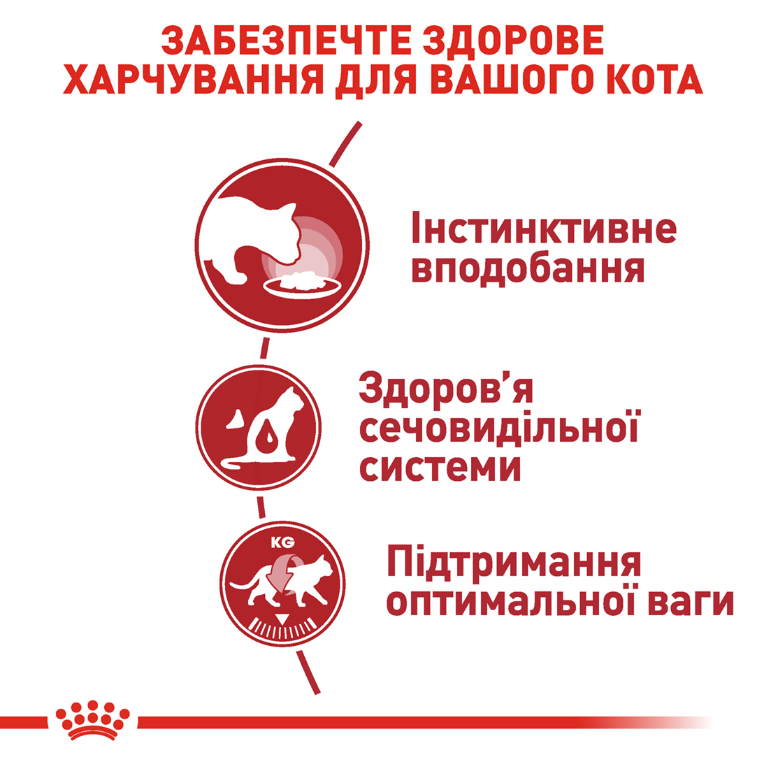 Вологий корм Royal Canin Instinctive in Gravy для котів