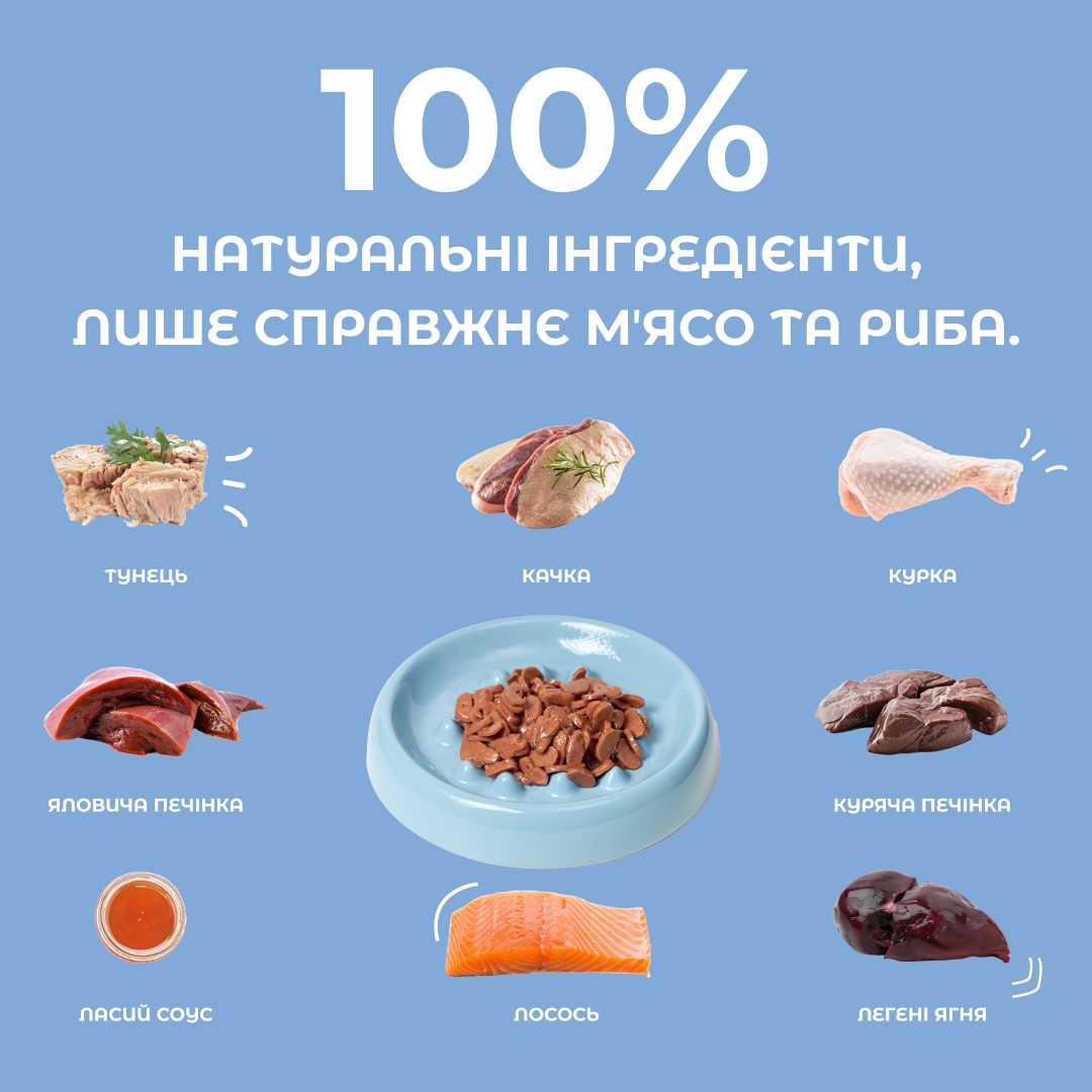 Вологий корм Natural Kitty Chunk in Gravy Chicken, Tuna with Beef для котів шматочки курки та тунця з яловичою печінкою в соусі 85 г