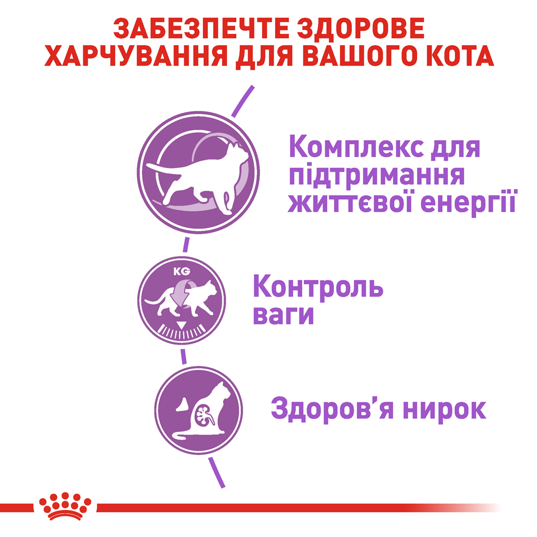 Акція Сухий корм Royal Canin Sterilised 7+ для стерилізованих котів старше 7 років 1.2 кг+300 г
