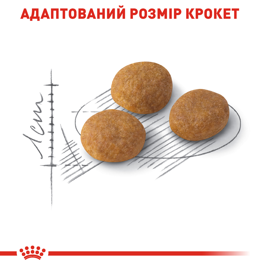 Сухий корм Royal Canin Exigent Aromatic Attraction для котів вибагливих до аромату 400г