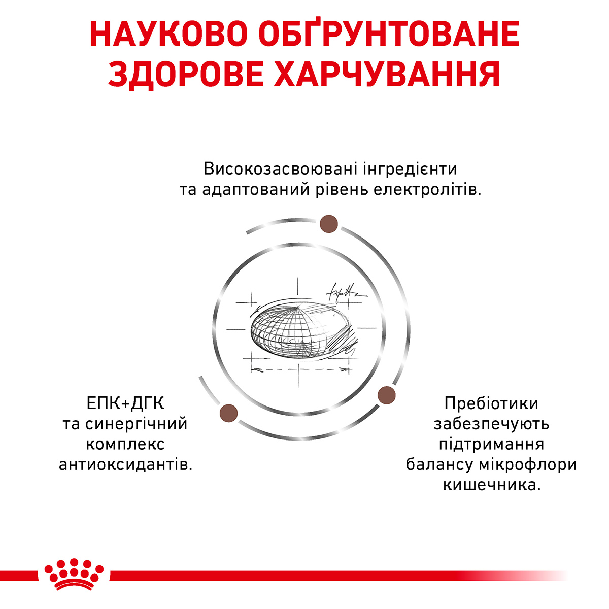 Сухий корм Royal Canin Gastrointestinal Moderate Calorie Feline для котів при порушеннях травлення 400г