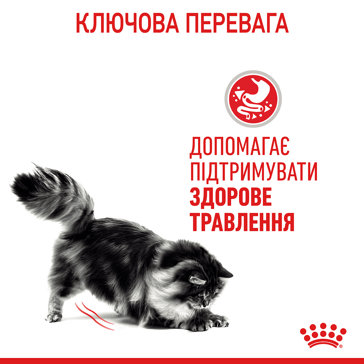 Вологий корм Royal Canin Digest Sensitive для котів чутливим травленням