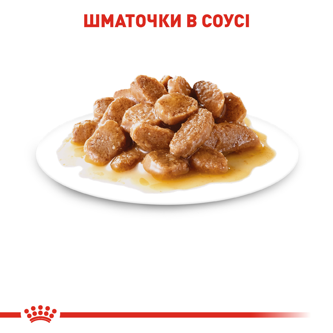 Вологий корм Royal Canin Mini Adult для собак дрібних порід