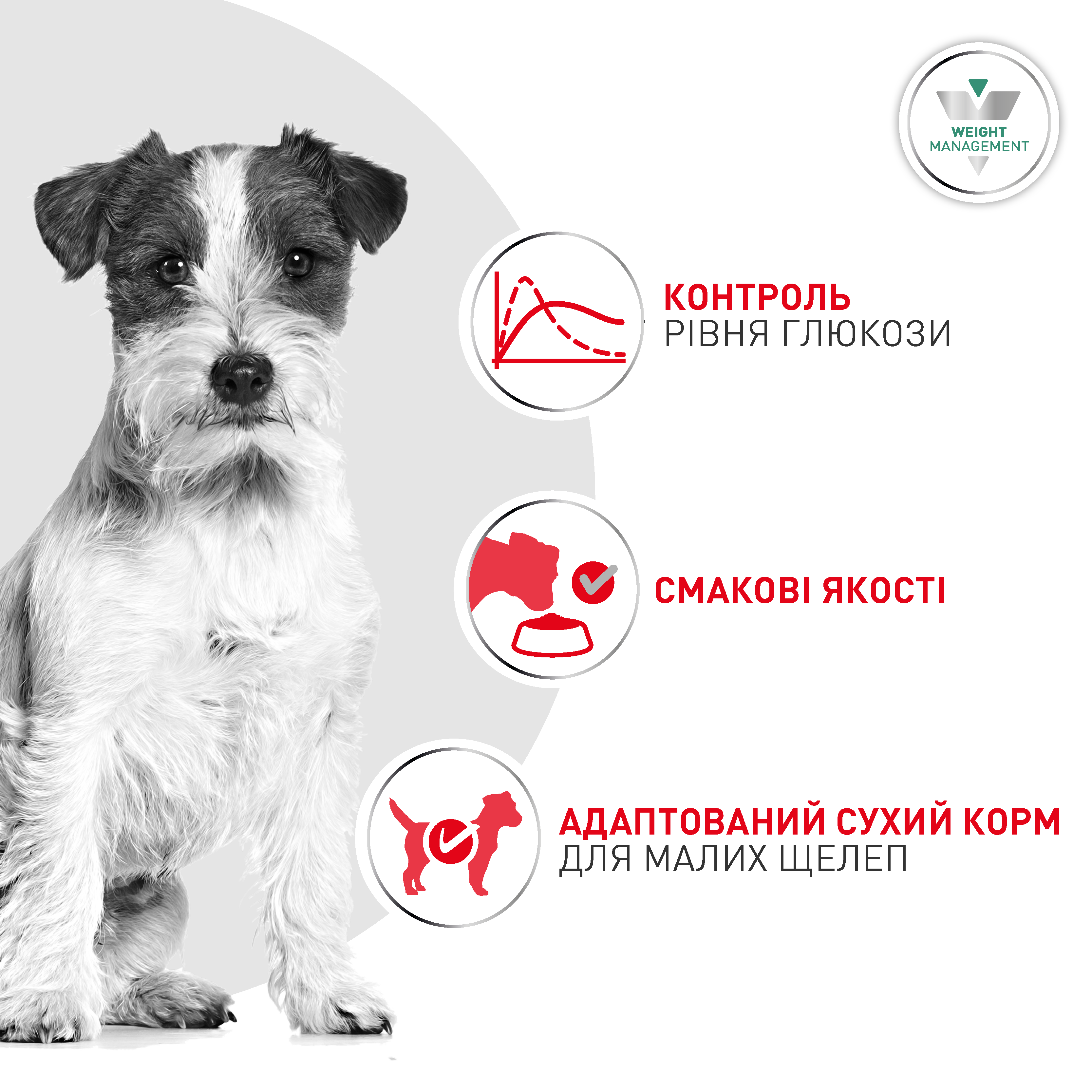 Сухий корм Royal Canin Glycobalance Small Dog для собак малих порід при цукровому діабеті 1,5 кг