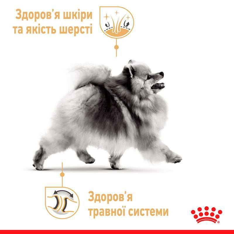 Сухий корм Royal Canin Pomeranian Adult для дорослих собак породи Померанський шпіц 500 г