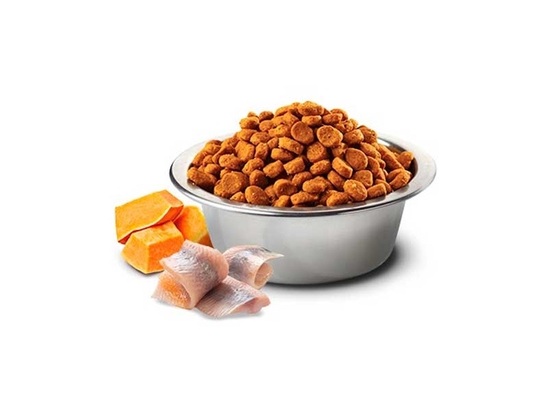 Сухий корм Farmina N&D Ocean Dog Adult Medium & Maxi Cod, Pumpkin & Orange для собак середніх і великих порід з тріскою та апельсином 2,5 кг