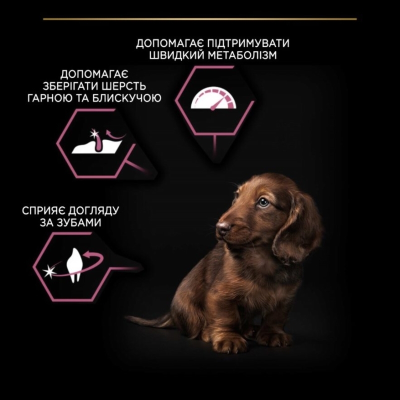 Сухий корм Purina Pro Plan Puppy Small & Mini Sensitive Skin для цуценят дрібних порід з чутливою шкірою,з лососем 3 кг