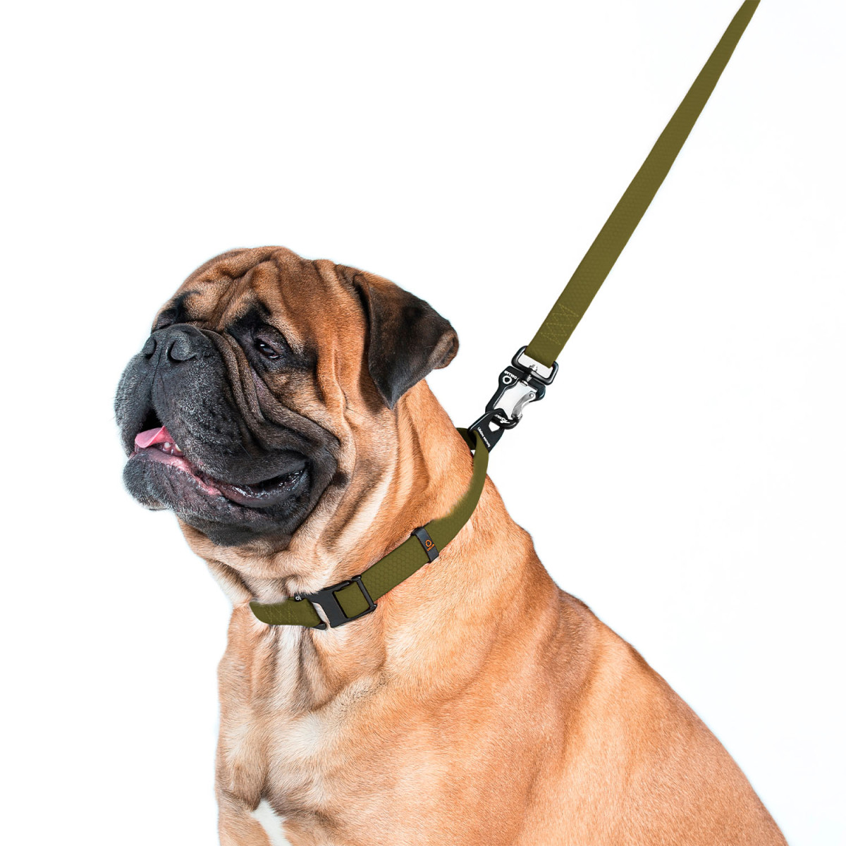 Collar Evolutor Повідець Еволютор для собак 25 мм,210 см,Хакі