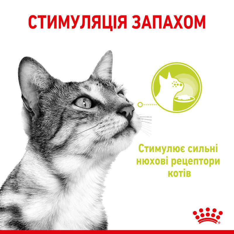 Вологий корм Royal Canin Sensory Smell in Gravy для дорослих котів – стимуляція нюху та підвищення апетиту (шматочки в соусі) 85 г