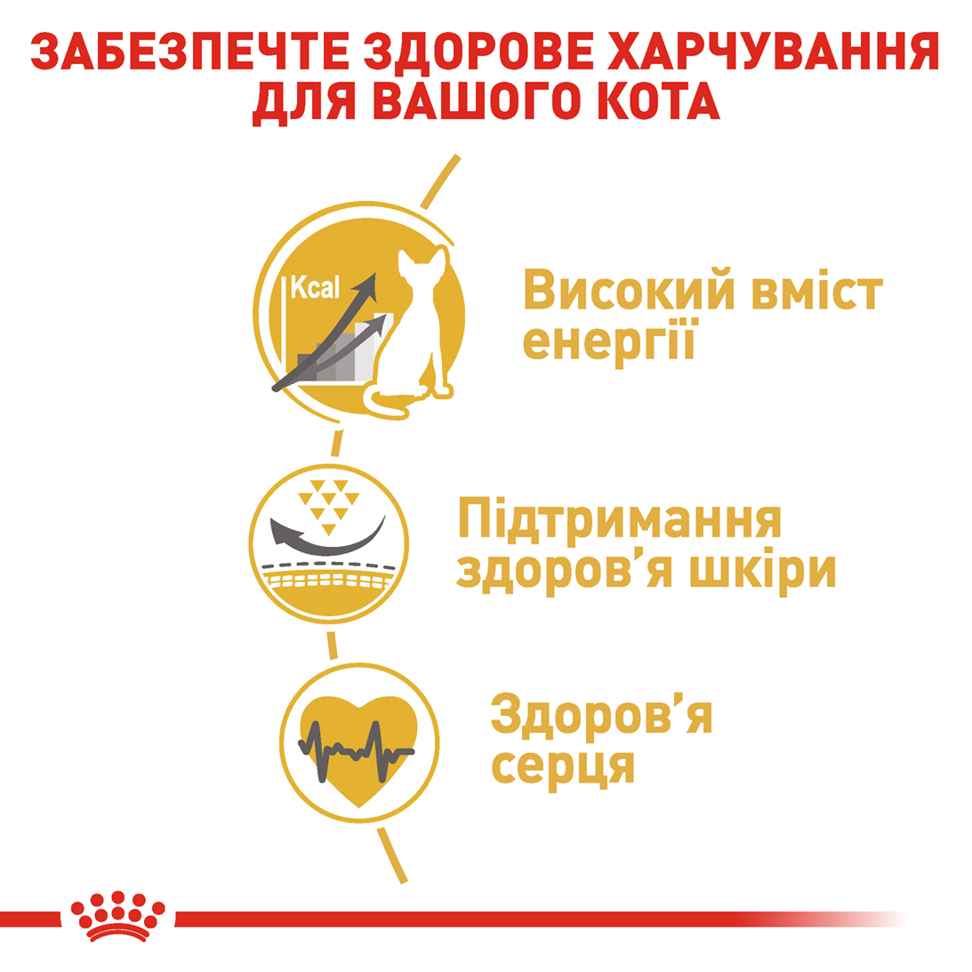 Сухий корм Royal Canin Sphynx для котів породи Сфінкс 400г