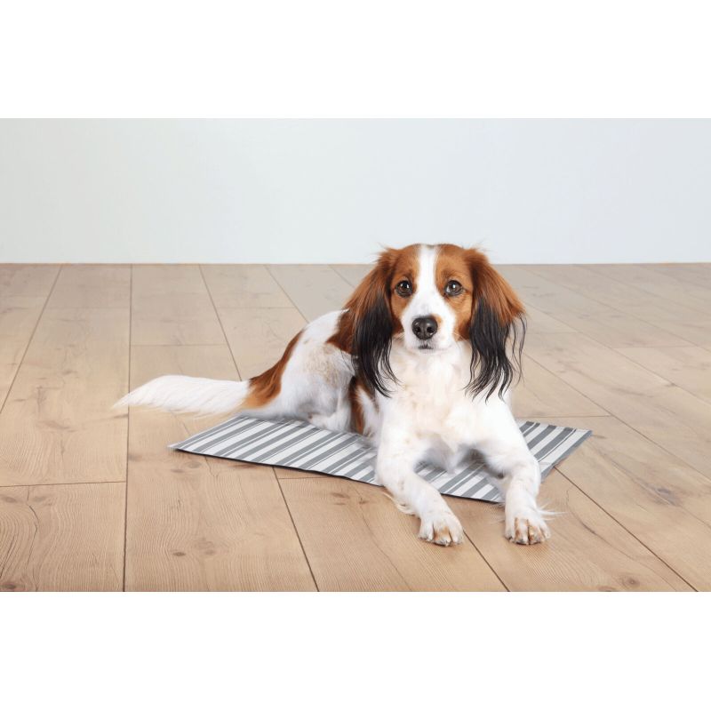 Trixie Cooling Mat Підстилка охолоджувальна для собак та котів сіра 50х40 см,М