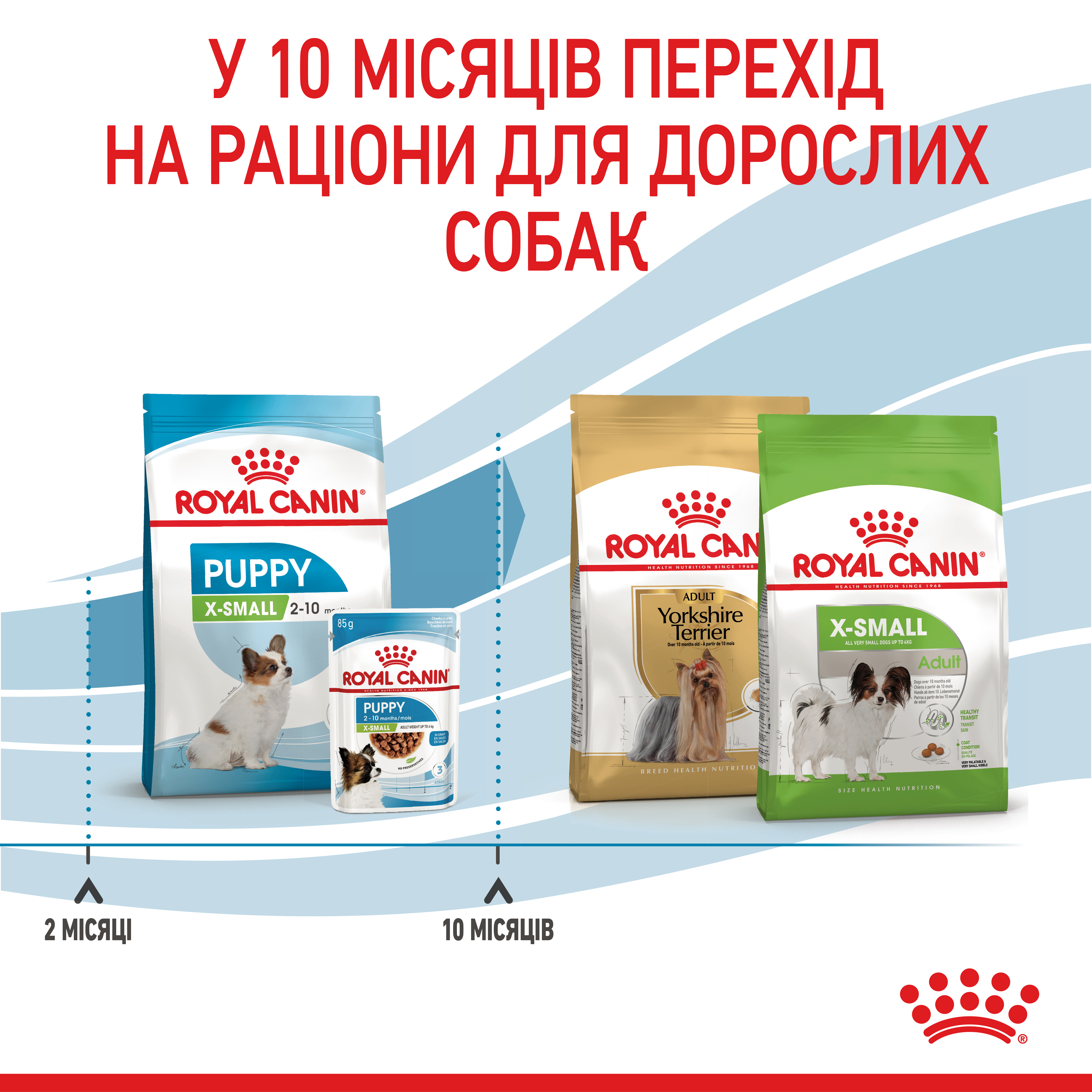 Сухий корм Royal Canin X-Small Puppy для цуценят мініатюрних порід 500г
