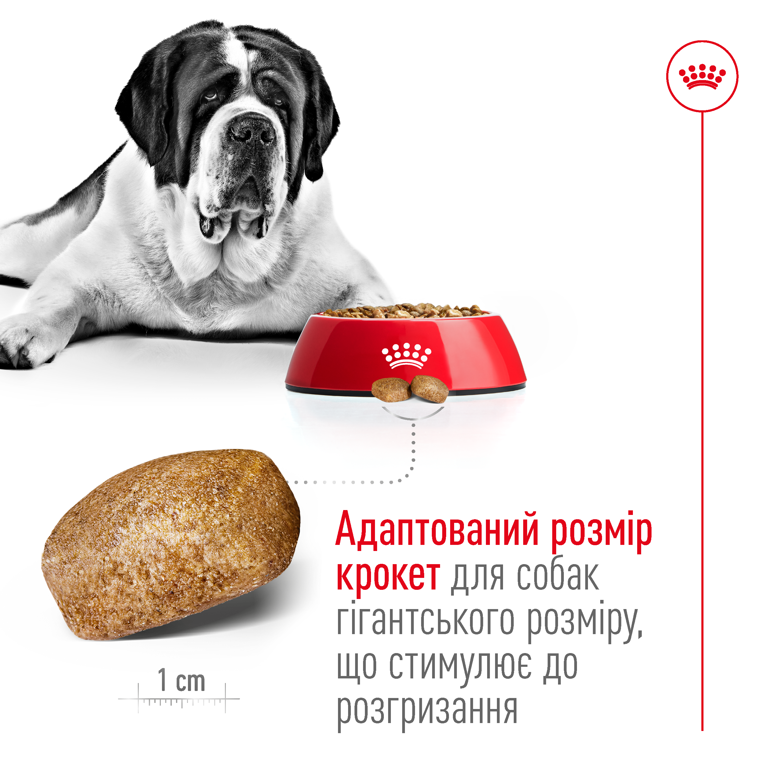 Сухий корм Royal Canin Giant Adult для собак гігантських порід 15кг